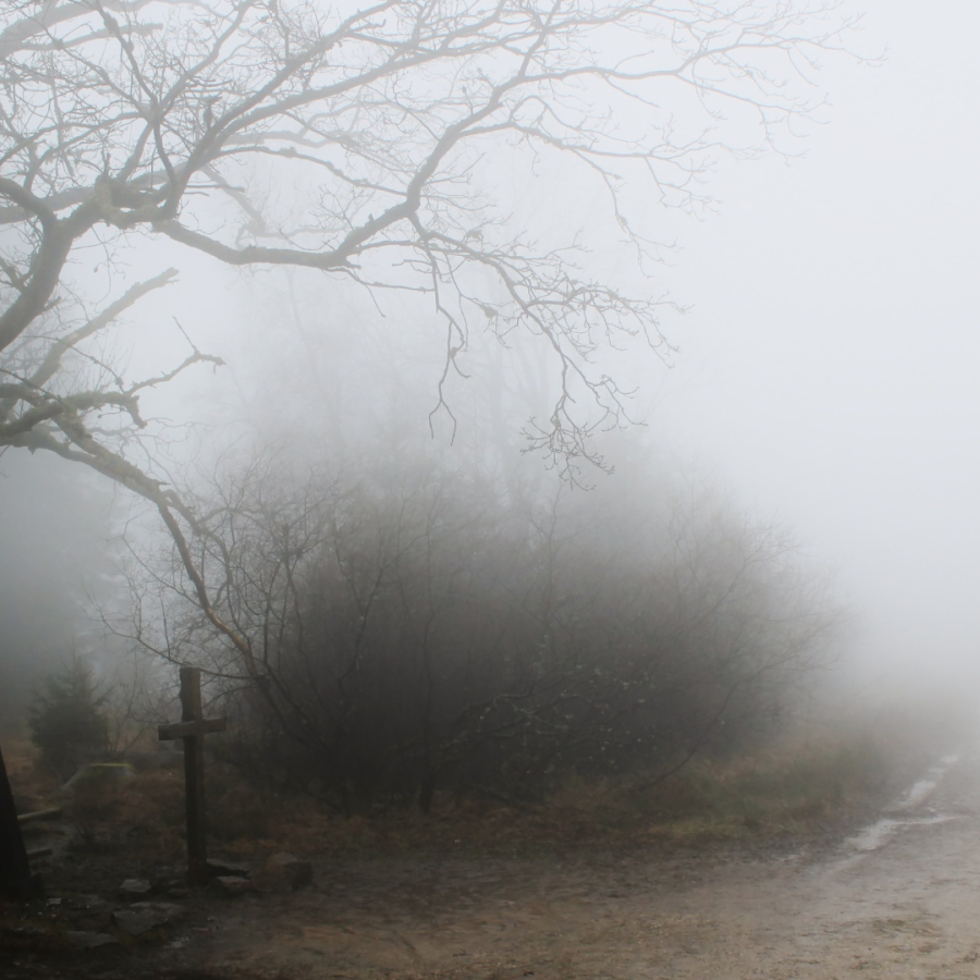 Nebliger Weg mit kahlen Bäumen und einem kleinen Holzkreuz am Wegrand, der sich im Nebel verliert