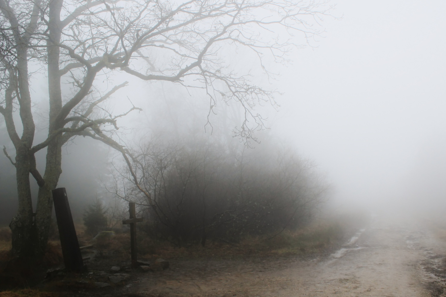 Nebliger Weg mit kahlen Bäumen und einem kleinen Holzkreuz am Wegrand, der sich im Nebel verliert