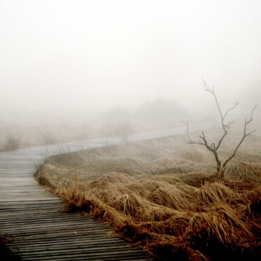 Holzsteg im Nebel als Symbol für eine persönliche Krise, Neuorientierung und den Weg durch ungewisse Zeiten.