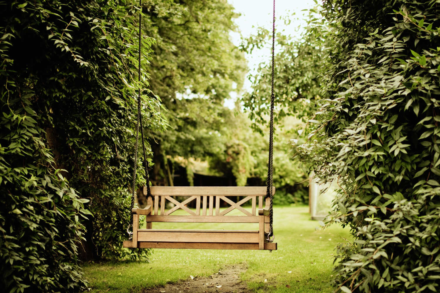 Leere Holzschaukel an Seilen in einem grünen Garten, eingerahmt von Hecken, mit einem kleinen Pfad, der zur Schaukel führt